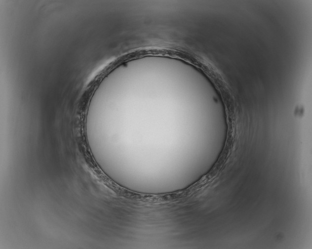 X0000112101208200908041104