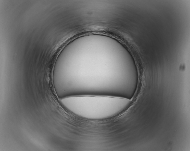 X0000112101209200908041104
