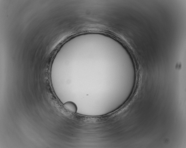 X0000112101211200908041105