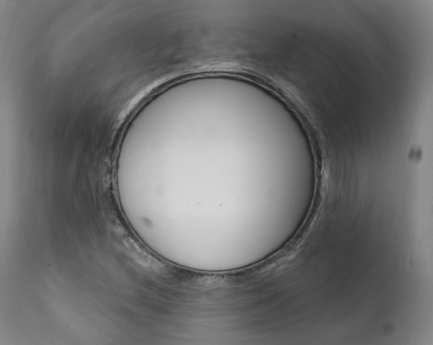 X0000112101212200908041105