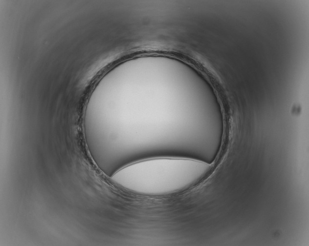 X0000112101213200908041105