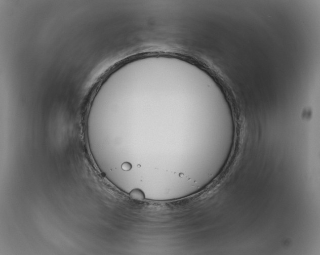 X0000112101215200908041105
