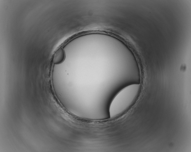X0000112101216200908041105