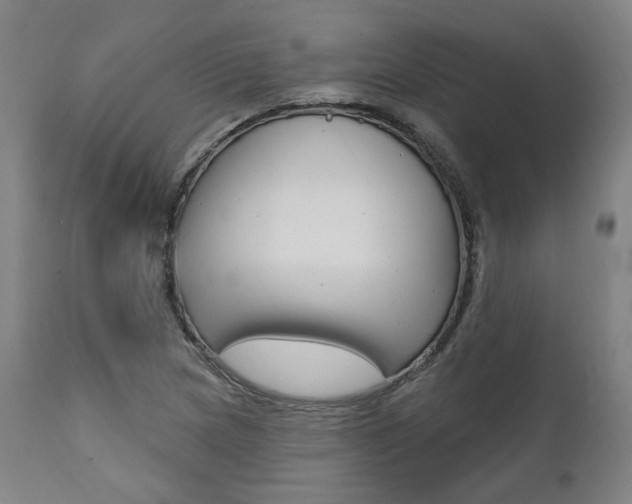 X0000112101217200908041105