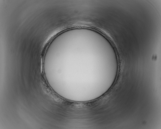 X0000112101219200908041105