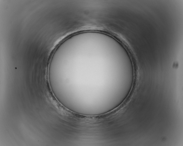 X0000112101220200908041105