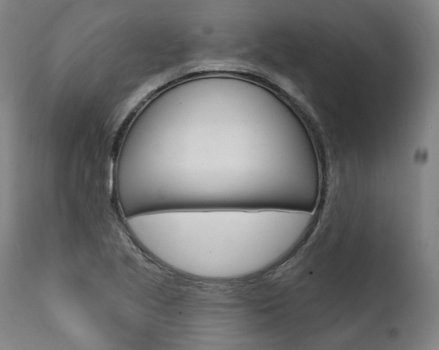X0000112101221200908041105