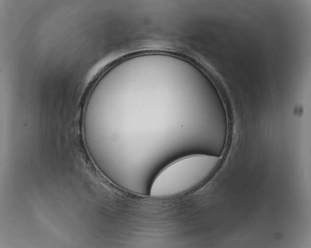 X0000112101222200908041105