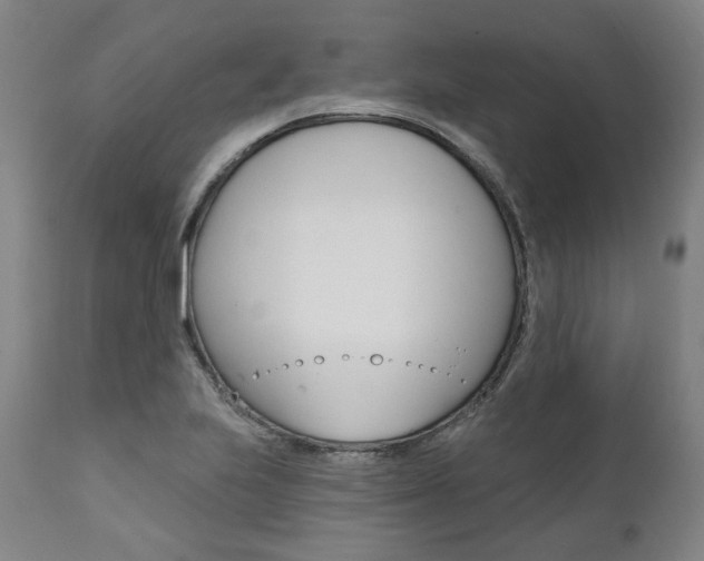 X0000112101223200908041105