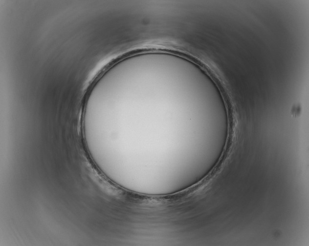 X0000112101224200908041105
