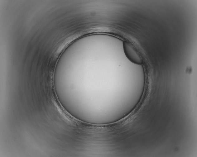 X0000112101225200908041105