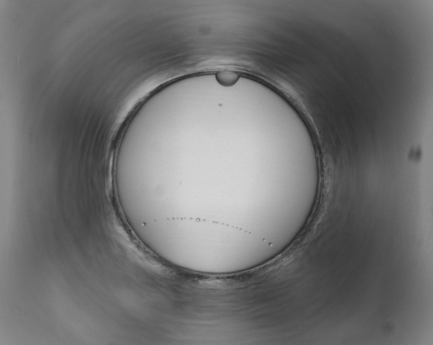 X0000112101227200908041105