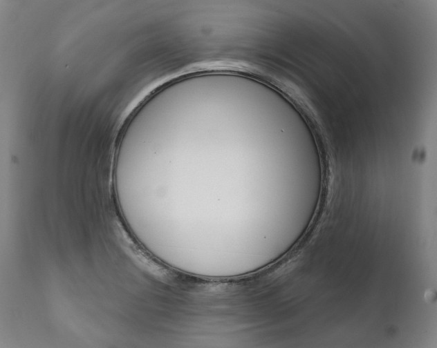 X0000112101228200908041105
