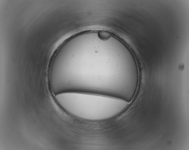 X0000112101229200908041105