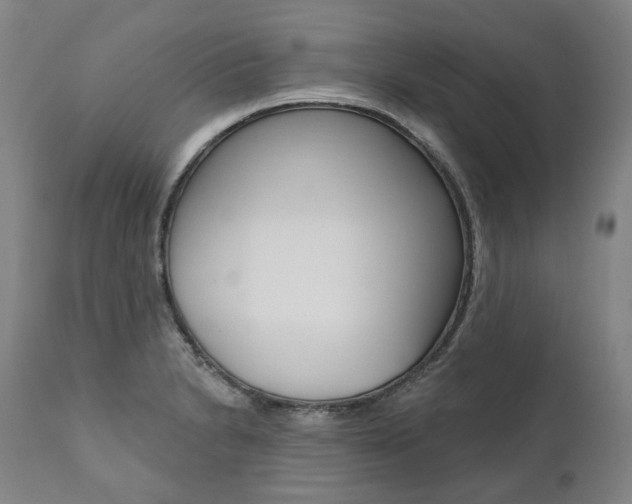 X0000112101230200908041105