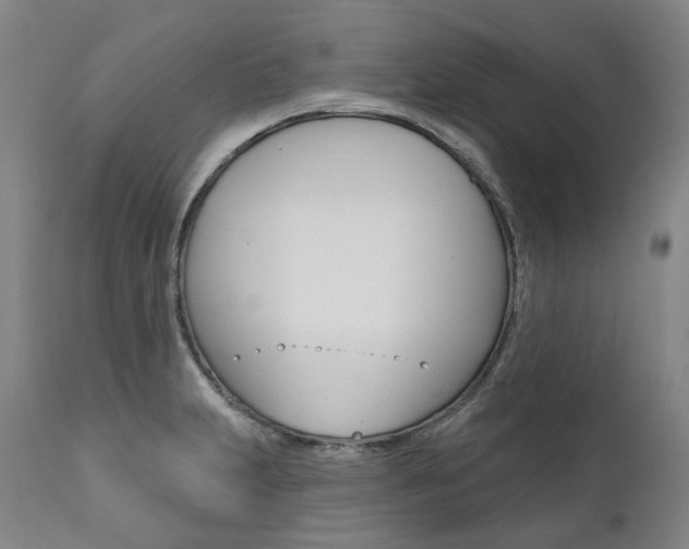 X0000112101231200908041105