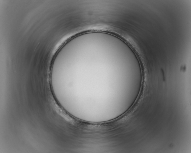 X0000112101232200908041105