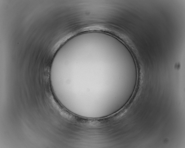 X0000112101233200908041105