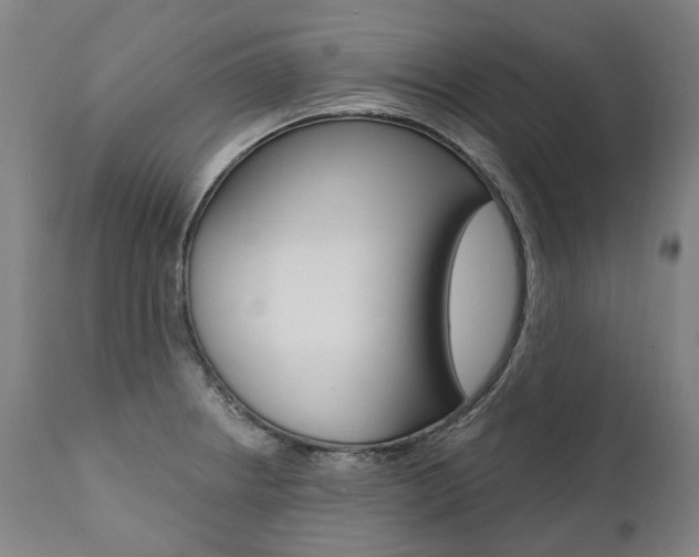 X0000112101234200908041105