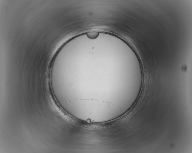 X0000112101235200908041105