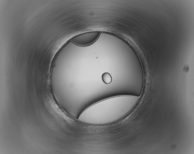 X0000112101236200908041105