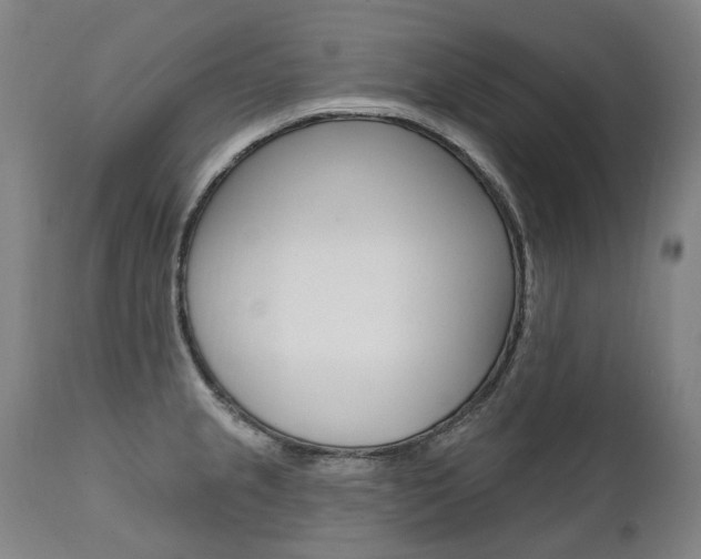X0000112101237200908041105