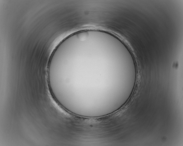 X0000112101239200908041105