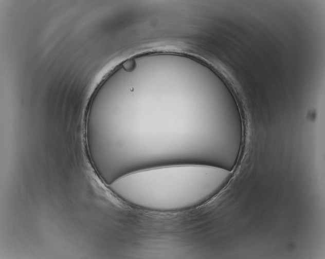 X0000112101240200908041105