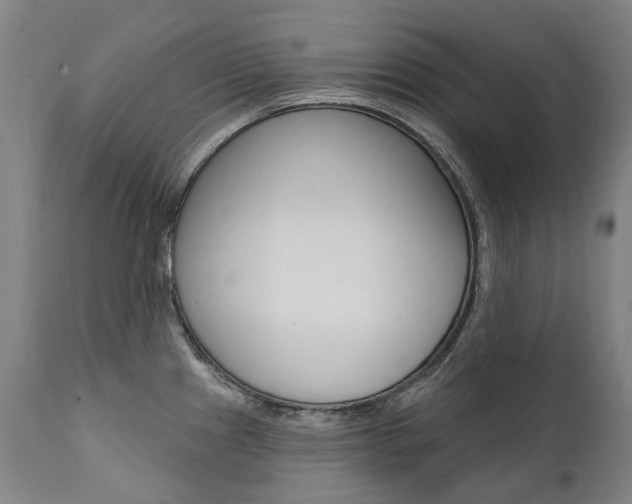 X0000112101241200908041105