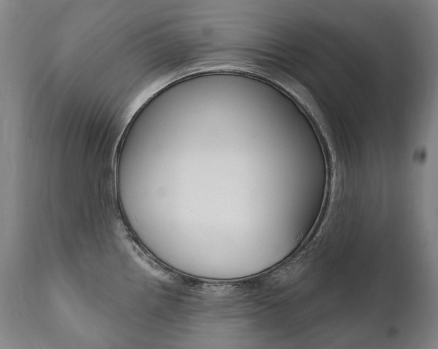 X0000112101242200908041105