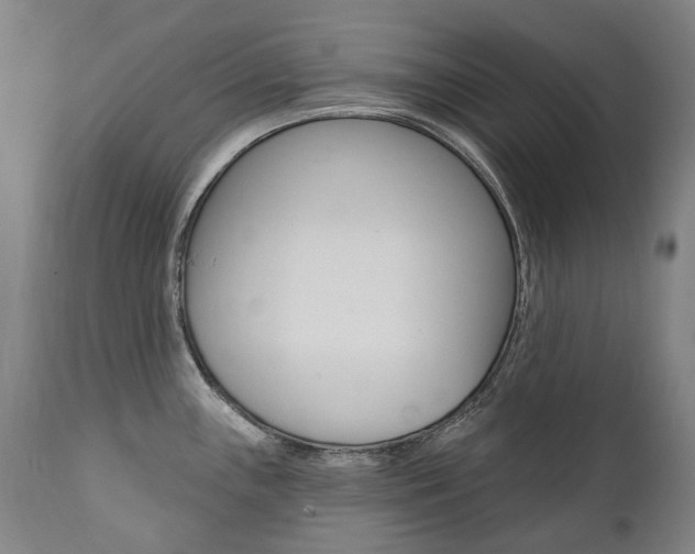 X0000112101243200908041105