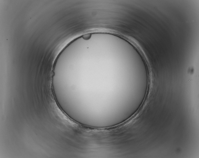X0000112101244200908041105