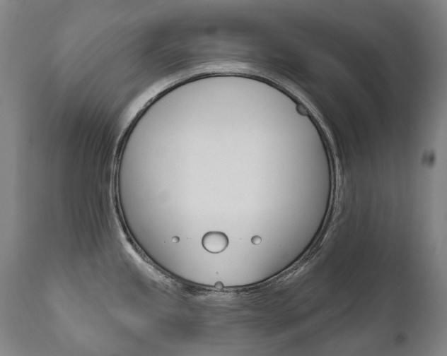 X0000112101245200908041105