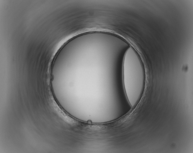 X0000112101246200908041105