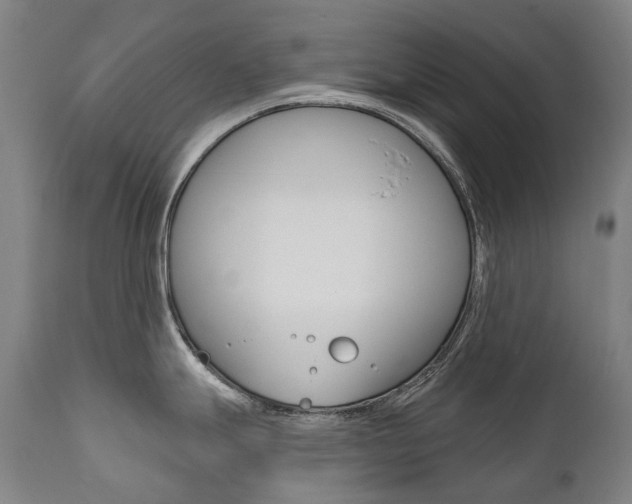 X0000112101247200908041105
