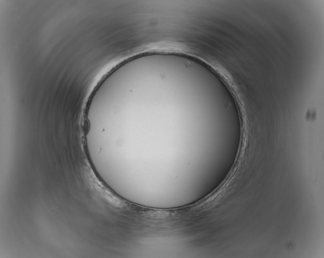 X0000112101248200908041105