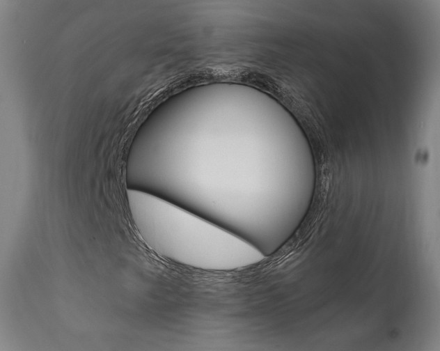 X0000112101249200908041104