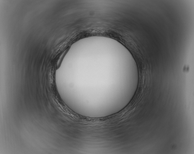 X0000112101250200908041104