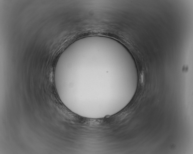 X0000112101251200908041104