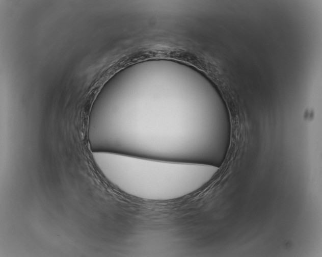 X0000112101253200908041104