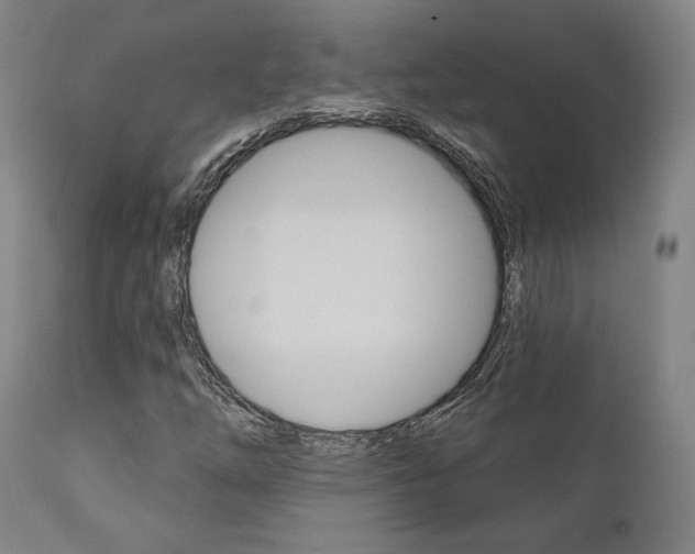 X0000112101254200908041104