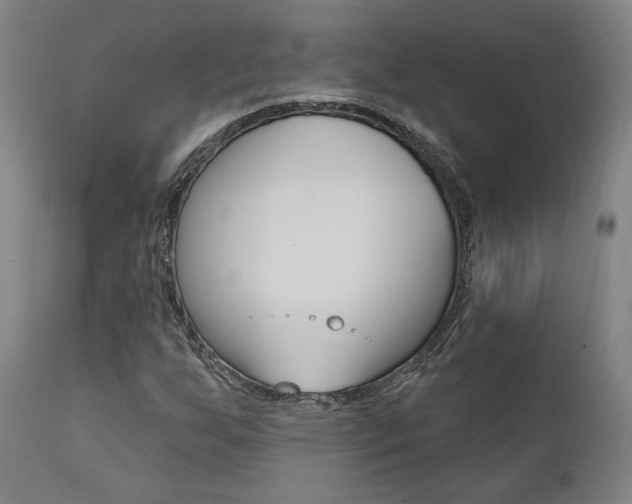 X0000112101255200908041104