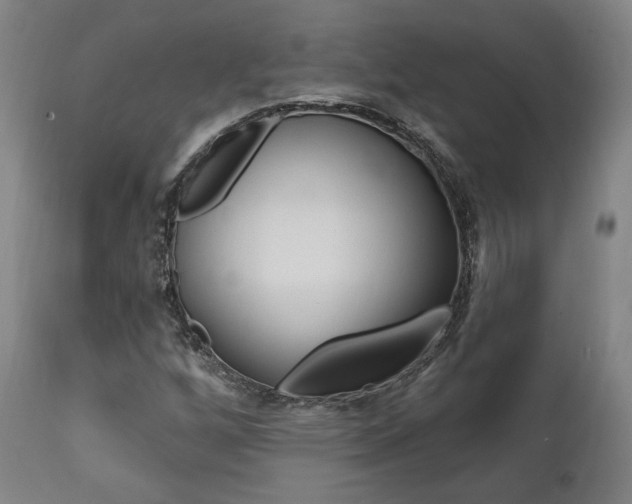 X0000112101256200908041104