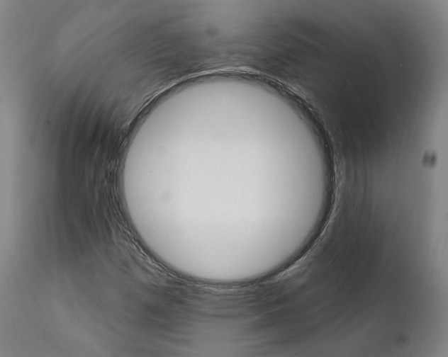 X0000112101257200908041104