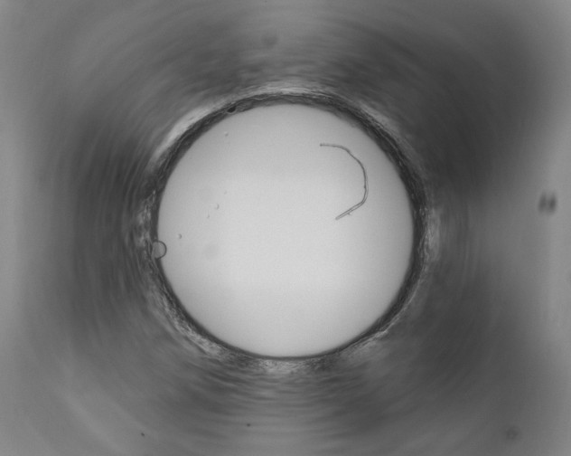 X0000112101258200908041104
