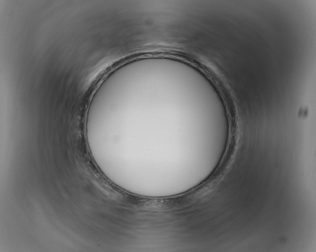 X0000112101259200908041104