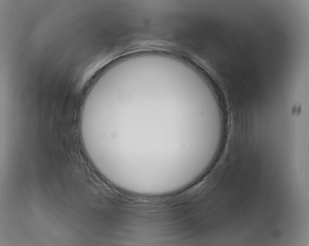 X0000112101261200908041104