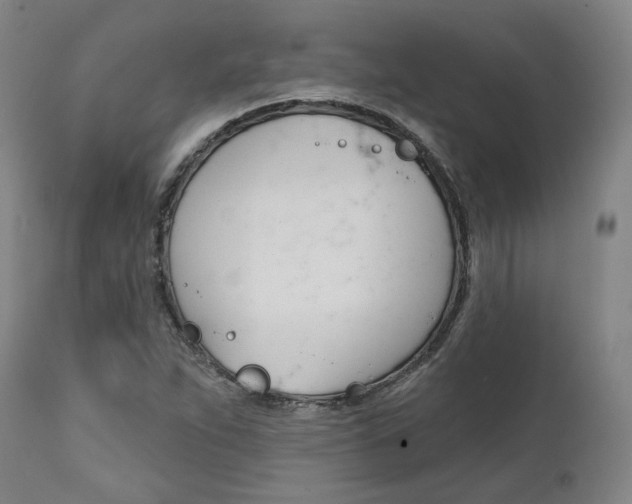X0000112101263200908041104