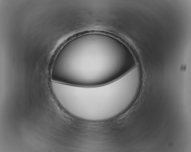 X0000112101264200908041104