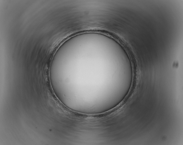X0000112101265200908041104
